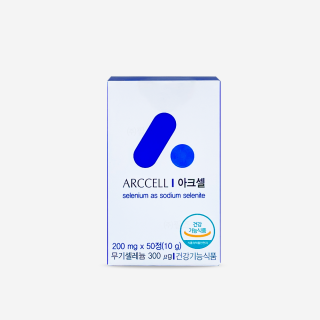 아크셀 [50정]