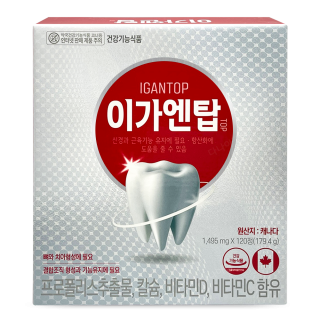 이가엔탑 [120정]